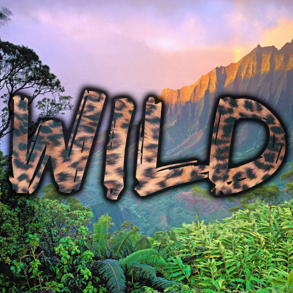 Check out Our Full Collection of Wild Gloves | G-Loves